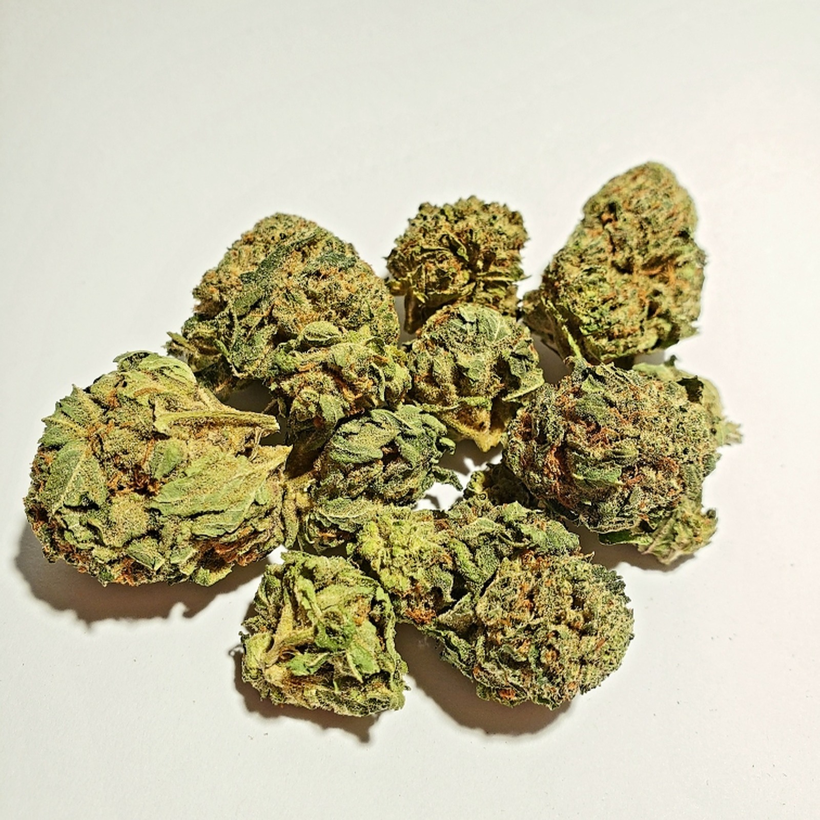 STARBUD | 1:1 | 11.5%THC : 9%CBD | 1/4oz
